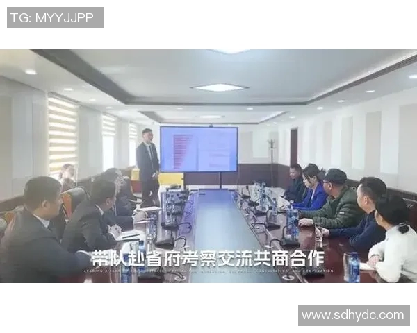 深入探讨成都足球队团队协作的优势与不足之处分析